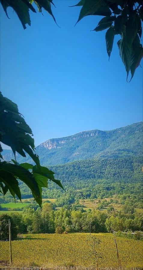 Bed & Breakfast Mas Tulipe De Soie